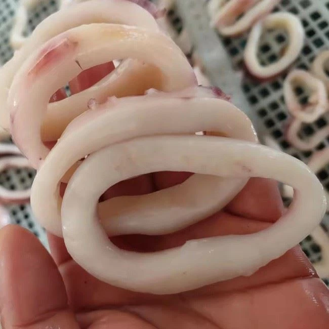 Squid Ring Skin On