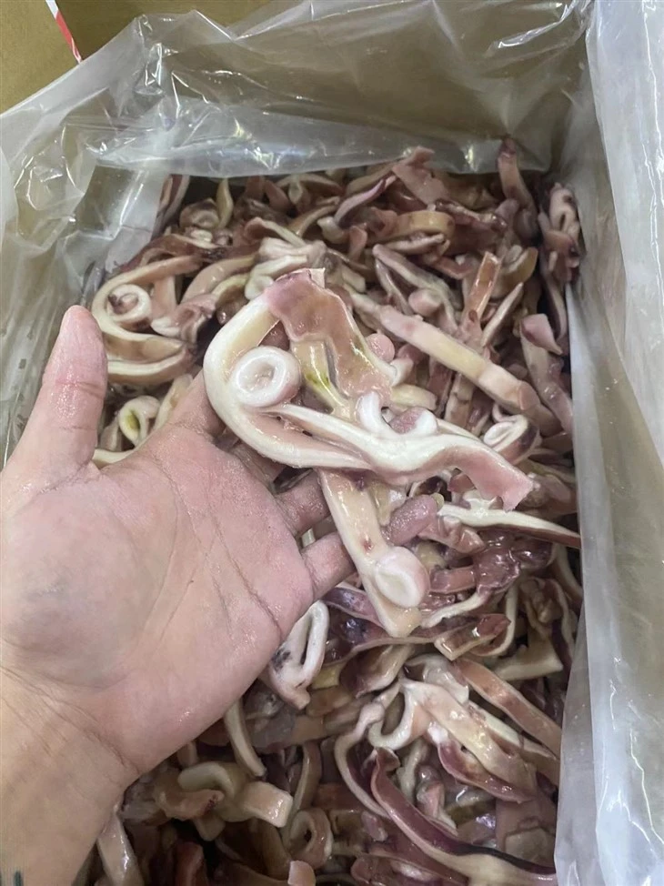 Frozen Squid Wing Ring