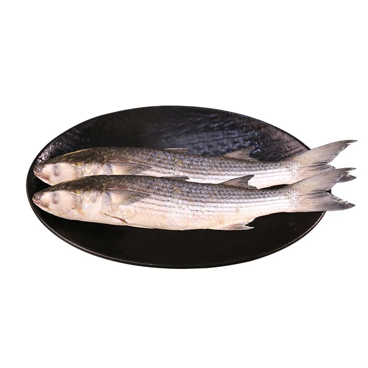 Gutted Mullet Kelabu Dengan Kualiti Yang Baik