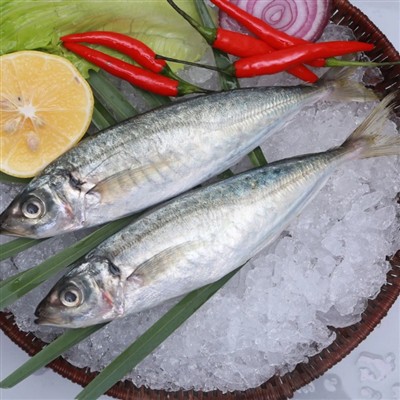 Kaedah memasak scad 1