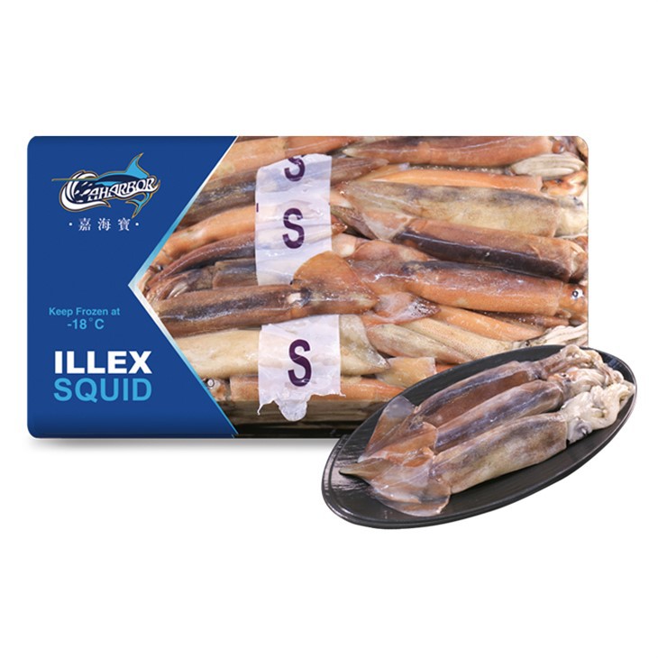 Sotong Illex Beku