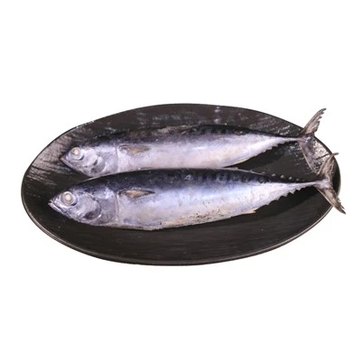 Ikan Bonito Beku 300/500